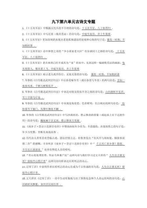 部编版语文九年级下册第六单元古诗文专题
