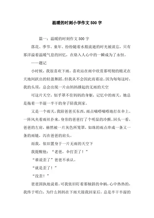 温暖的时刻小学作文500字