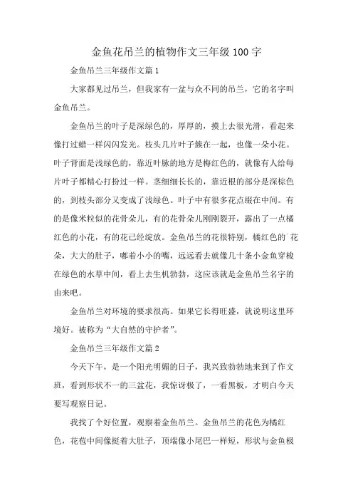 金鱼花吊兰的植物作文三年级100字