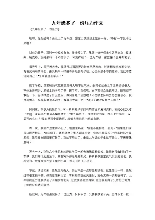 九年级多了一份压力作文