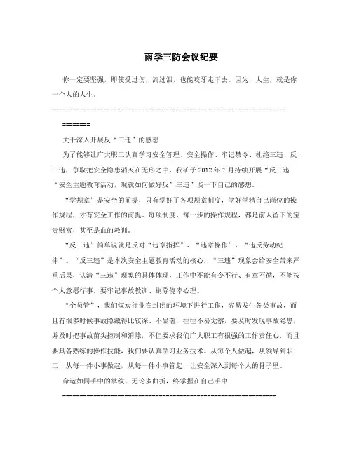 雨季三防会议纪要