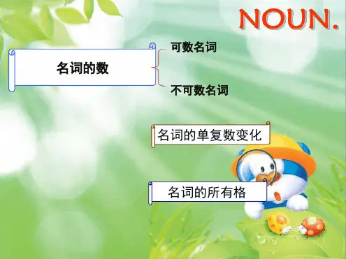 高中英语语法讲解名词 课件共25张