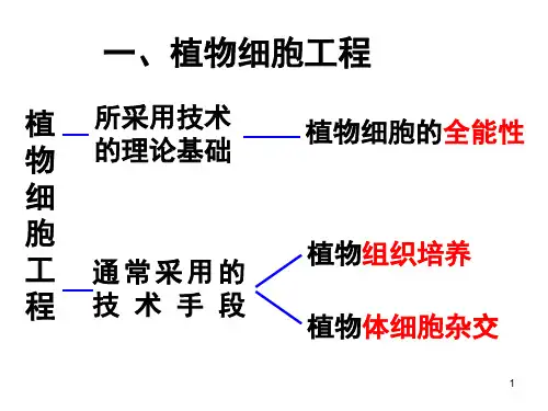 高中生物细胞工程课堂PPT(1).ppt