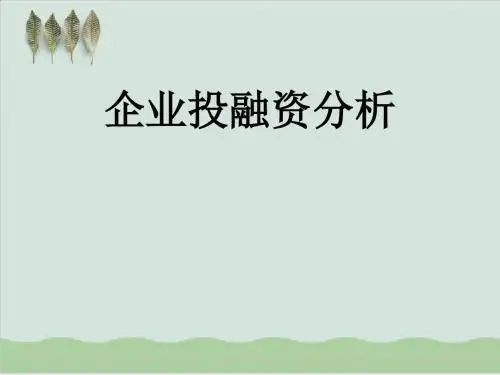 企业投融资分析PPT课件( 25页)