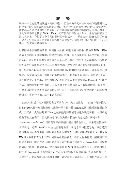 转染资料整理终结版