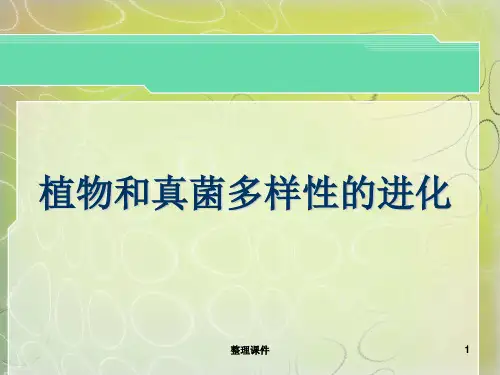植物进化的多样性