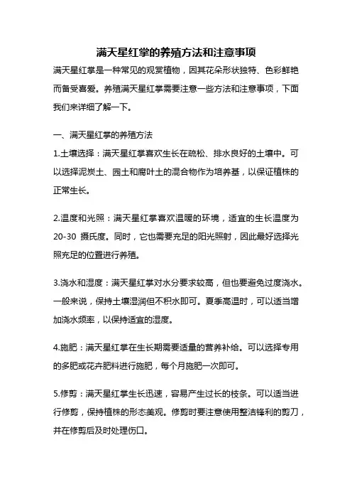 满天星红掌的养殖方法和注意事项
