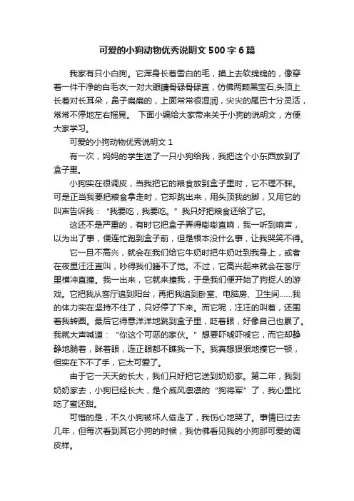 可爱的小狗动物优秀说明文500字6篇