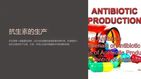 《抗生素的生产》课件
