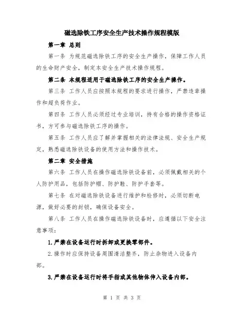 磁选除铁工序安全生产技术操作规程模版