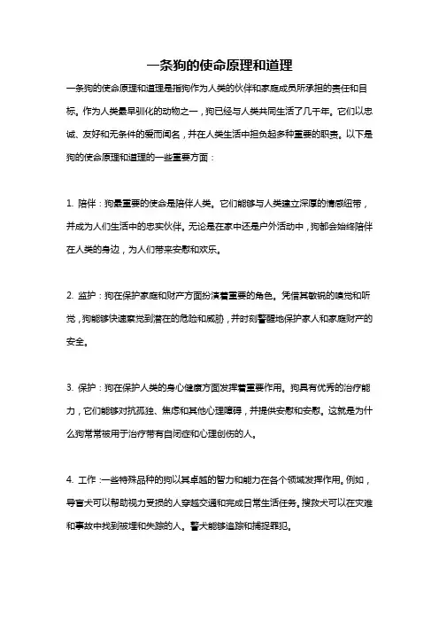 一条狗的使命原理和道理