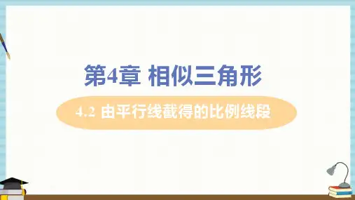 浙教版九年级上册数学课件 第4章 相似三角形4