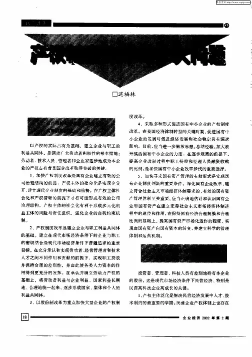 产权制度改革的十大问题