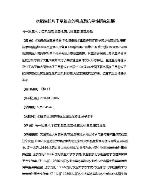 水稻生长对干旱胁迫的响应及抗旱性研究进展