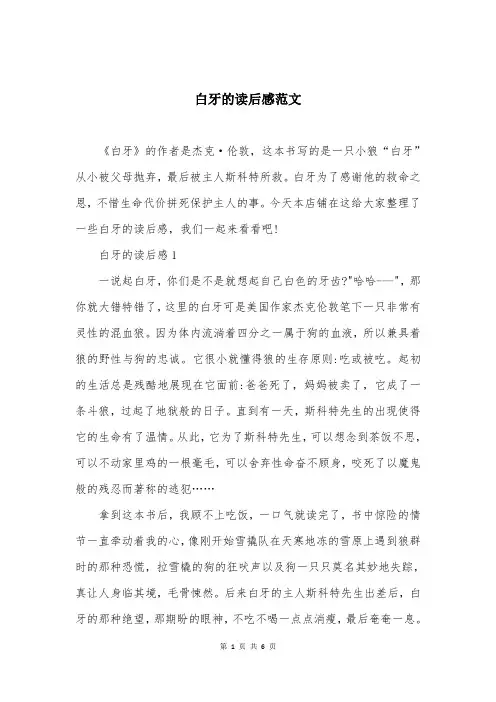 白牙的读后感范文