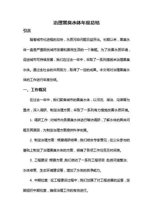 治理黑臭水体年度总结
