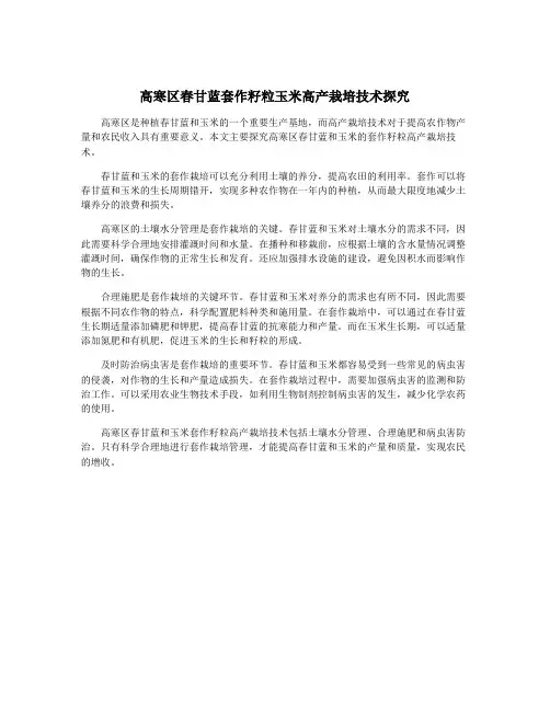 高寒区春甘蓝套作籽粒玉米高产栽培技术探究