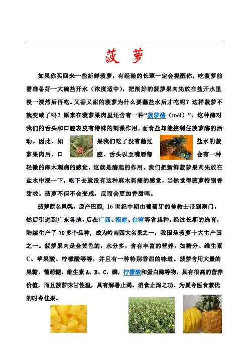 介绍一种水果菠萝介绍