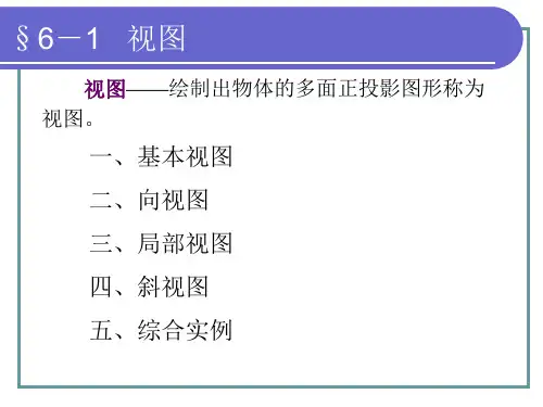 机械制图-第六章第四版