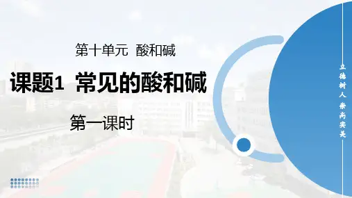 10.1常见的酸和碱课件---2023-2024学年九年级化学人教版下册++