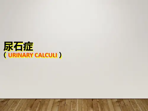 尿石症教学ppt