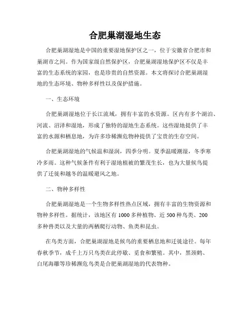 合肥巢湖湿地生态