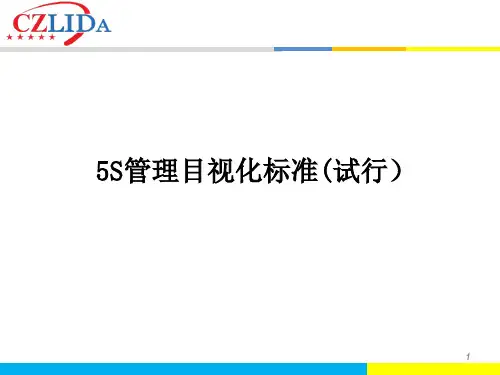 5S管理目视化标准(试行)