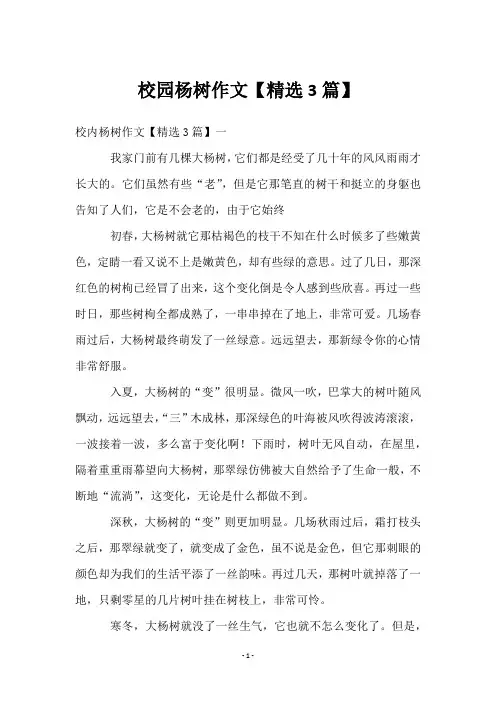 校园杨树作文【3篇】