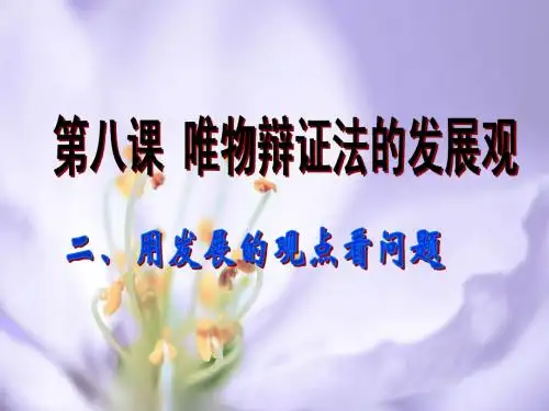 8.2用发展的观点看问题