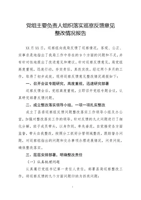 党组主要负责人组织落实巡察反馈意见整改情况报告