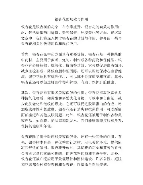 银杏花的功效与作用