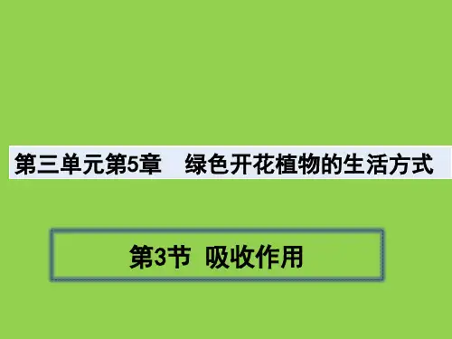 2022-2023学年北师大版生物七年级上册同步多媒体教学 第三单元第五章第3节吸收作用
