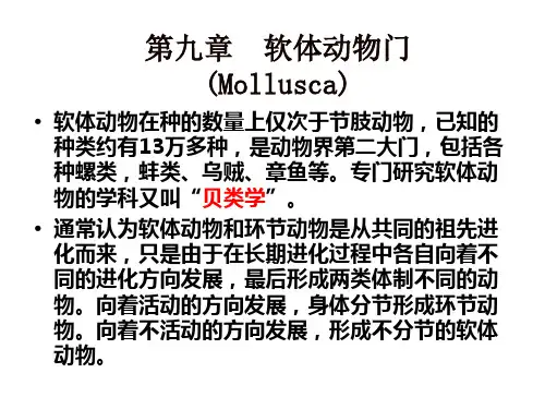 第九章  软体动物门yi
