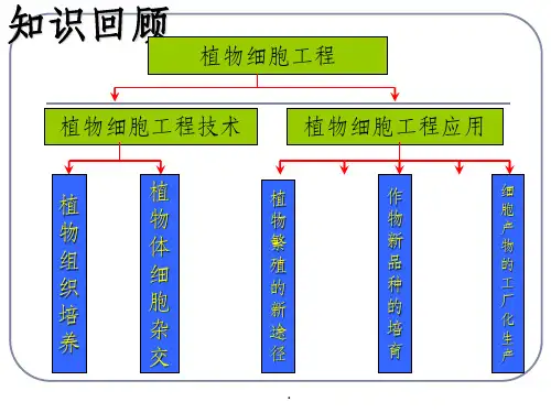 动物细胞培养(201X.3.26)ppt课件