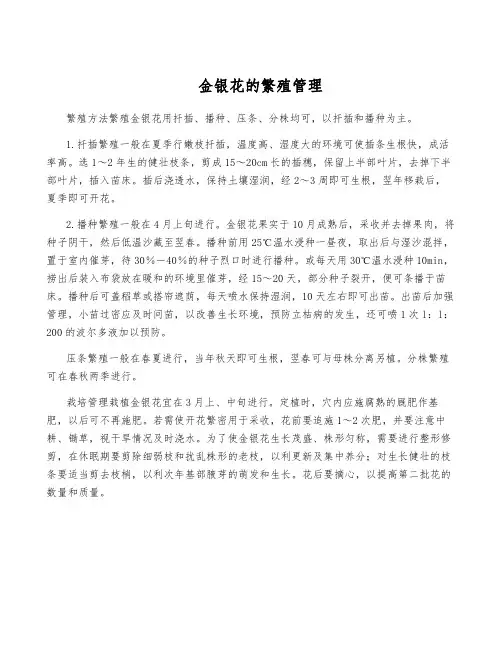 金银花的繁殖管理
