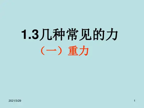 几种常见的力(课堂PPT)