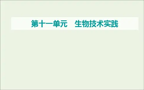 2021届高考生物一轮复习第十一单元生物技术实践第一讲传统发酵技术的应用课件新人教版
