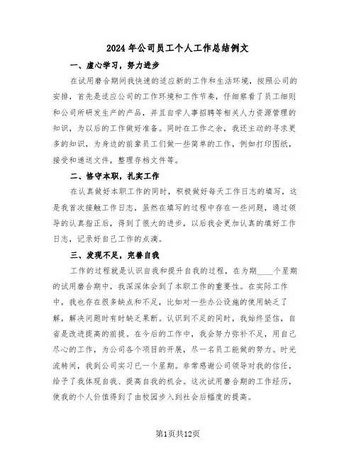 2024年公司员工个人工作总结例文(6篇)