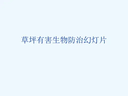 草坪有害生物防治幻灯片
