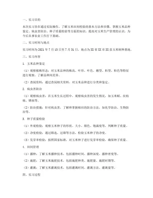 玉米田间检验实习报告