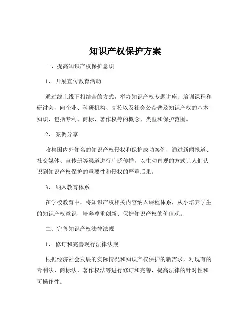知识产权保护方案