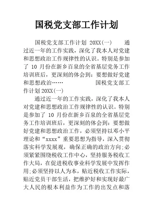国税党支部工作计划