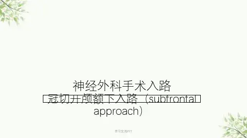 冠切开颅额下入路课件