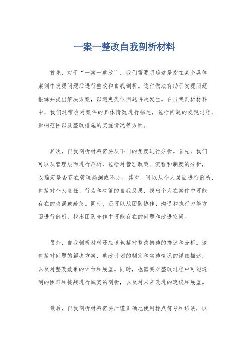 一案一整改自我剖析材料