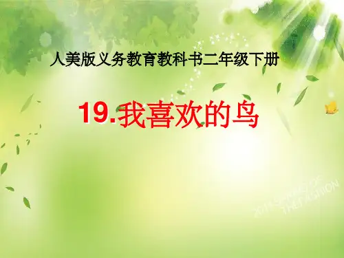 小学美术二年级下册《我喜欢的鸟》