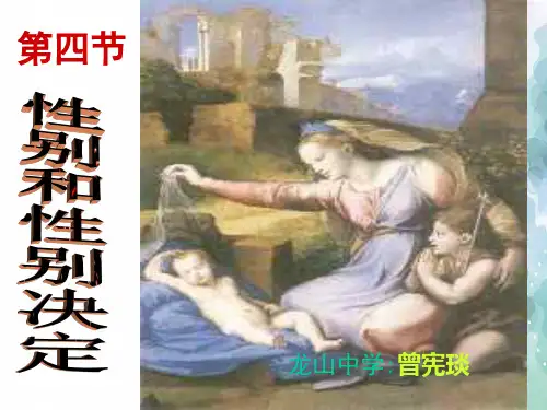 北师大版生物-八年级上册-第二十章第4节《性别和性别决定》课件
