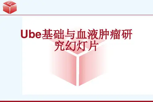 Ube基础与血液肿瘤研究幻灯片