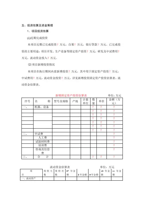 投资估算及资金筹措
