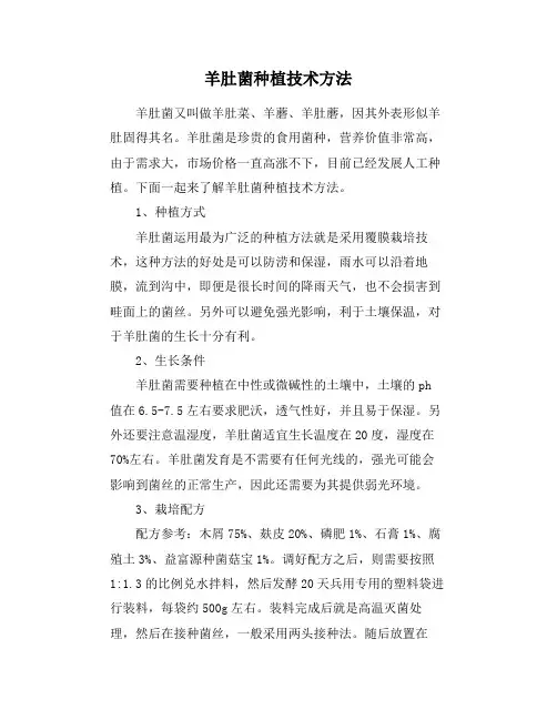羊肚菌种植技术方法