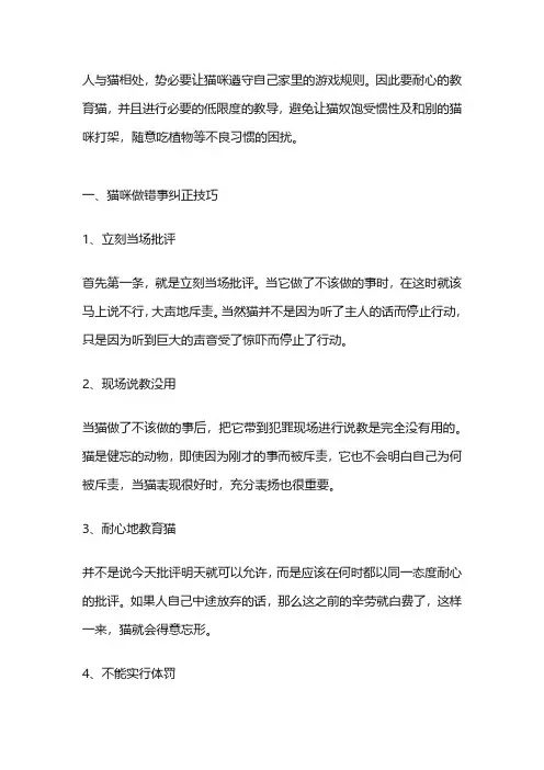 猫咪不良行为纠正与训练技巧